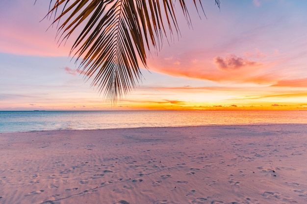 Linda paisagem de praia por do sol, exótica ilha tropical folha de palmeira natureza água azul do mar, oceano