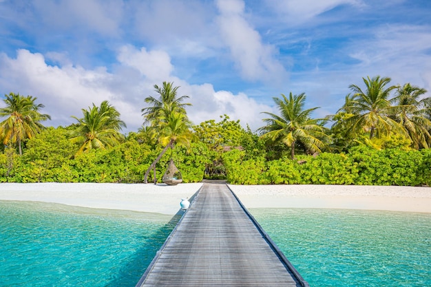 Linda paisagem de praia tropical destino de férias de verão Maldivas ilha cais palmas céu areia