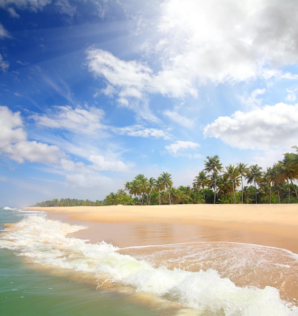 Foto linda paisagem de praia