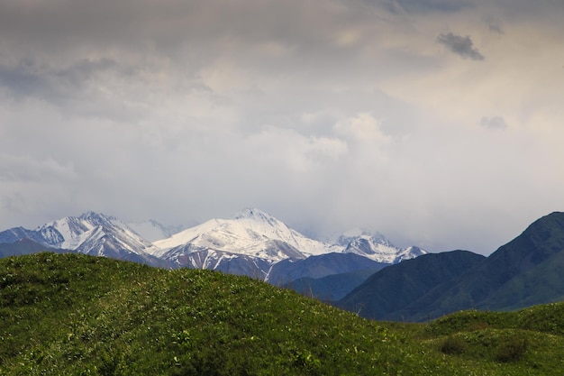 Linda paisagem de primavera e verão colinas verdes exuberantes montanhas altas ervas florescendo na primavera quirguistão