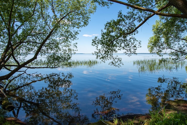 Linda paisagem de verão no lago com árvores e reflexão O conceito de turismo doméstico