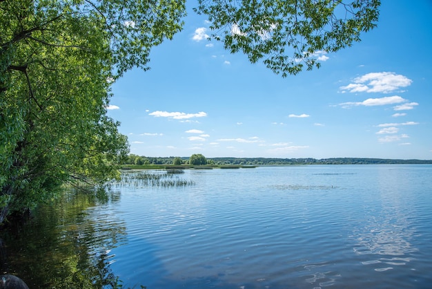 Linda paisagem de verão no lago com árvores O conceito de turismo doméstico