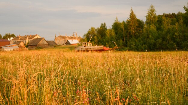 Linda paisagem rústica de verão velhas casas de madeira na região de vologda