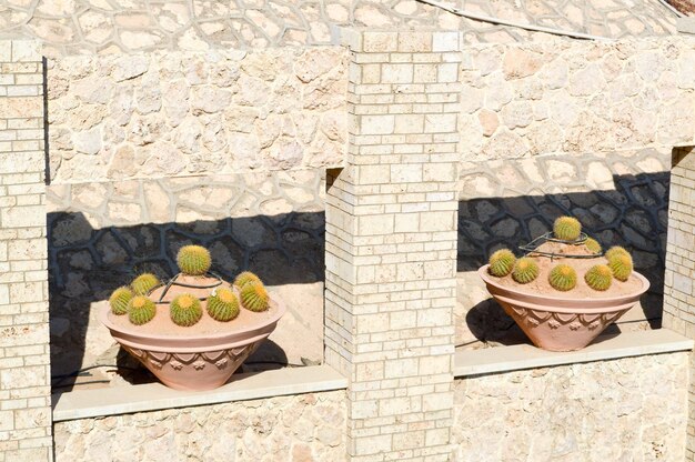 Linda parede textural antiga de pedras marrons e tijolos de diferentes formas com plantas verdes