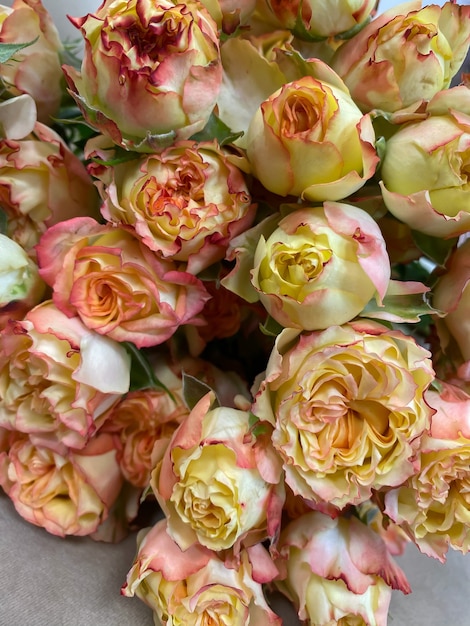 Linda peônia arbusto rosas em amarelo e laranja, um buquê de rosas em uma floricultura
