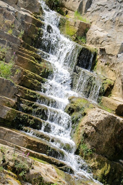 Linda pequena cachoeira na floresta