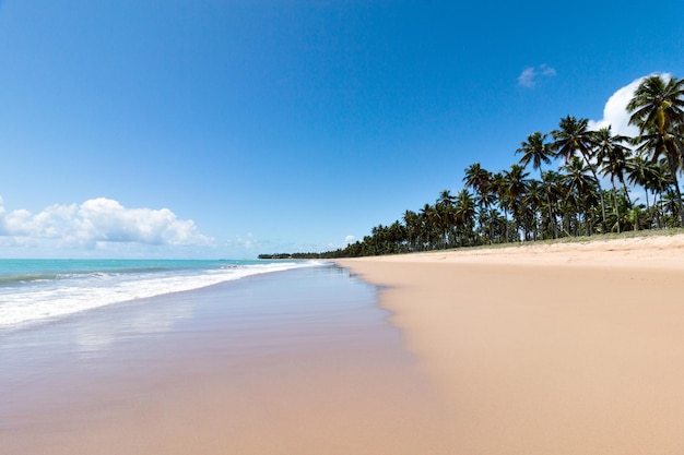 Linda praia deserta de águas verdes com ondas em primeiro plano e céu azul ao fundo