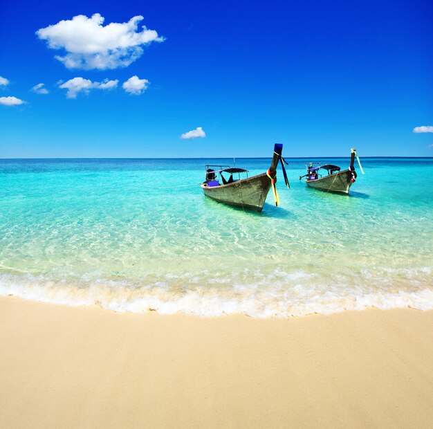 Linda praia e mar tropical