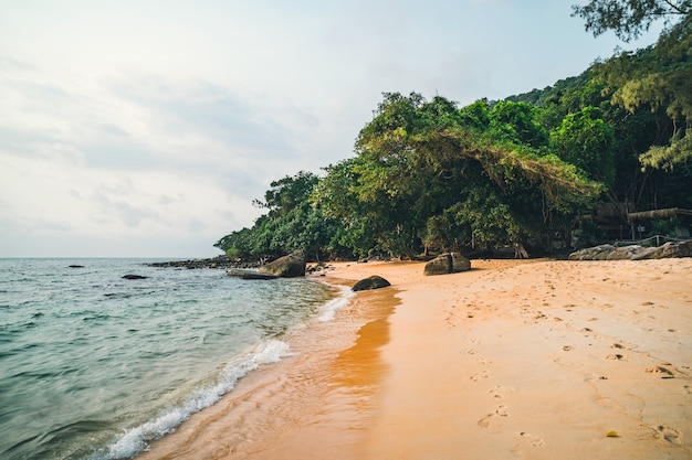 Foto linda praia. vista da bela praia tropical com coqueiros verdes ao redor. conceito de férias e férias. praia tropical no fundo do céu azul.