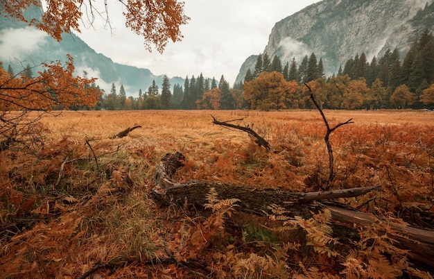 Linda temporada de outono no Parque Nacional de Yosemite, Califórnia, EUA