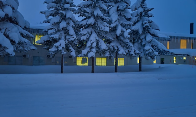 Linda visão noturna de inverno de Hokkaido