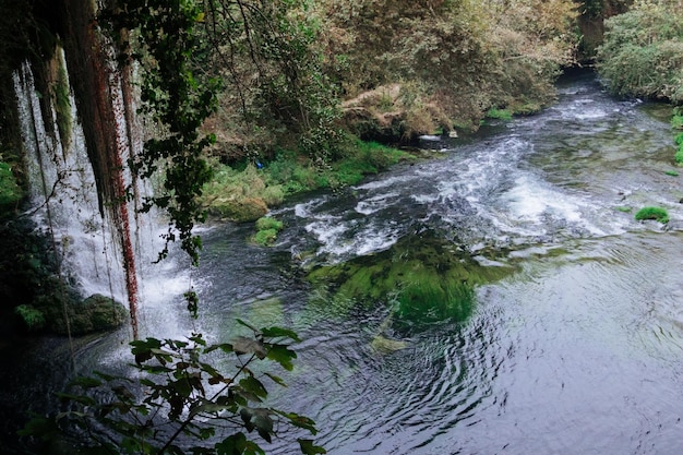 Linda vista da cachoeira para a baía e lago. água verde com algas. rocha com vegetação.