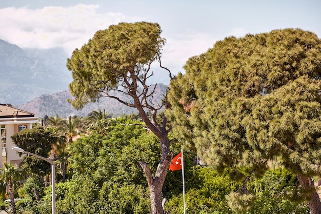 Linda vista de verão do terraço da villa nas montanhas e bandeira turca em dia ensolarado