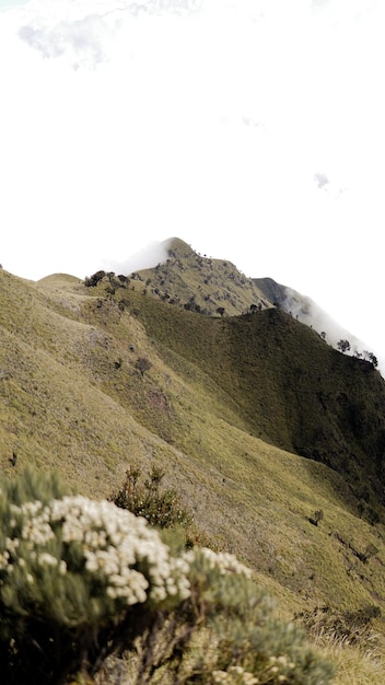 Linda vista do monte merbabu