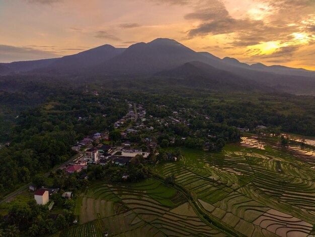Linda vista matinal da Indonésia Foto aérea de campos de arroz ao nascer do sol