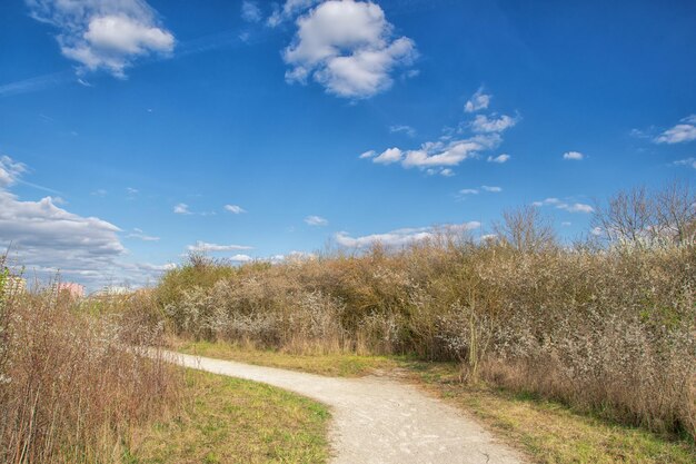 Linda vista no céu azul do parque com nuvens dia ensolarado de verão na natureza Ingolstadt