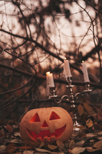 Lindas abóboras esculpidas com cara engraçada laranja brilhante para o feriado de Halloween no dia ao ar livre