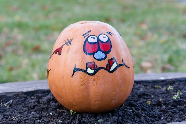 Lindas abóboras para o halloween