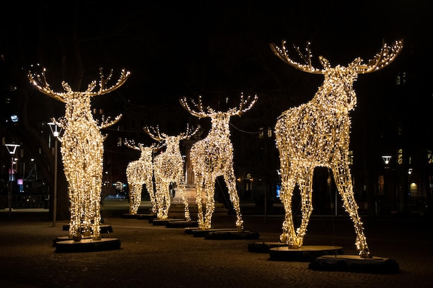 Lindas decorações de Natal, renas e luzes decorativas quentes em Estocolmo, Suécia