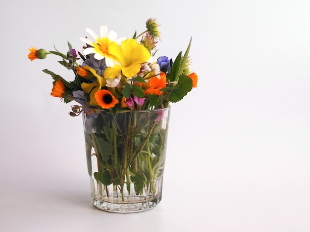 Lindas e coloridas flores silvestres florescendo em um copo