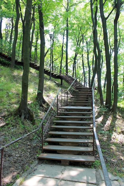 Lindas escadas no parque com grandes árvores