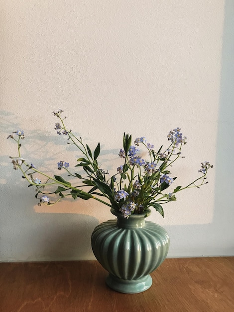 Lindas flores azuis da primavera em um vaso no parapeito da janela à luz do sol noturno Miosótis