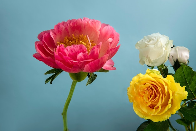 Foto lindas flores com fundo azul