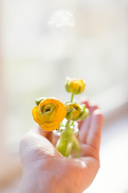 Lindas flores de ranúnculo laranja em pequena garrafa vintage na mão de uma mulher Pequeno buquê ou presente
