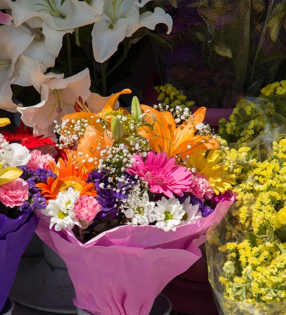 Lindas flores de vários tipos