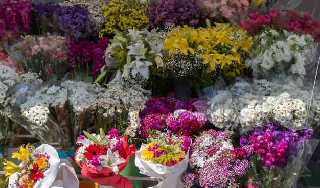 Lindas flores de vários tipos