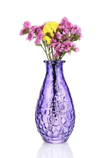 Lindas flores de verão em vaso isolado em branco
