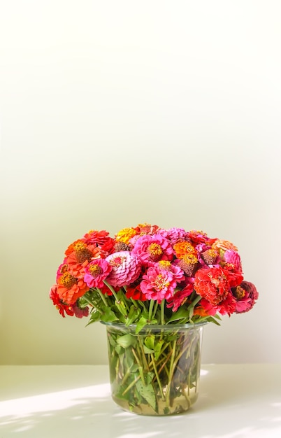 Lindas flores de zínia coloridas brilhantes em um buquê. Plantas ornamentais.