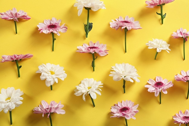 Lindas flores em fundo amarelo