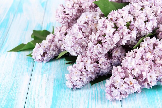 Lindas flores lilás na mesa closeup