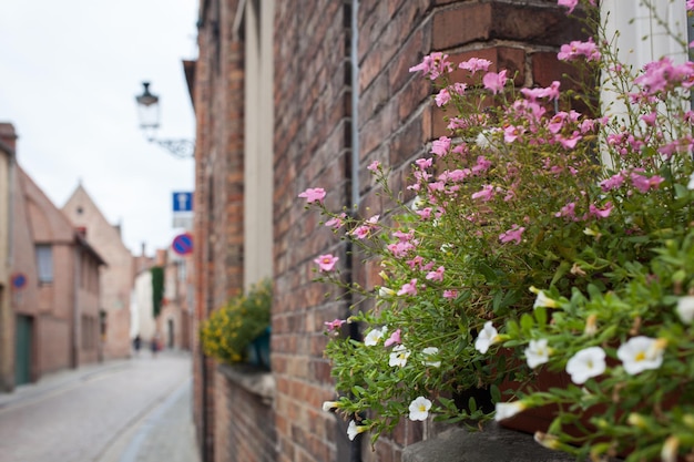 Lindas flores nas varandas de Bruges