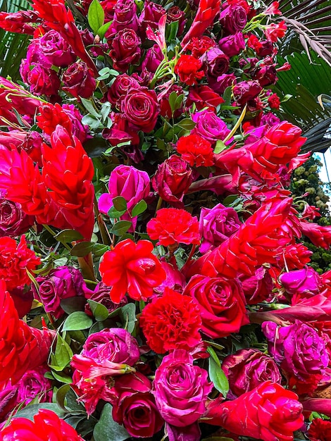 Lindas flores naturais no jardim