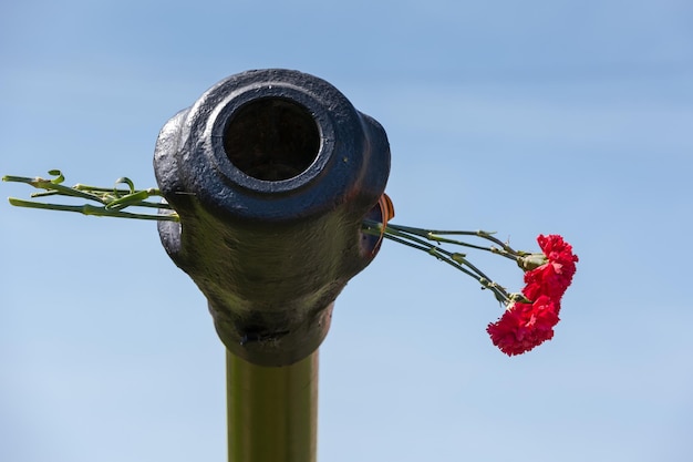 Lindas flores no barril do tanque 9 de maio Dia da vitória na Rússia Paz no mundo