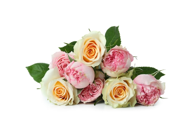 Lindas flores rosas isoladas em branco