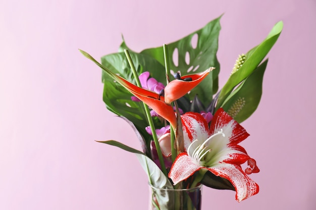 Lindas flores tropicais no espaço de cores