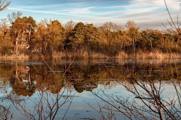 Lindas fotos do pôr do sol em um lago na bavária, na cidade de ingolstadt