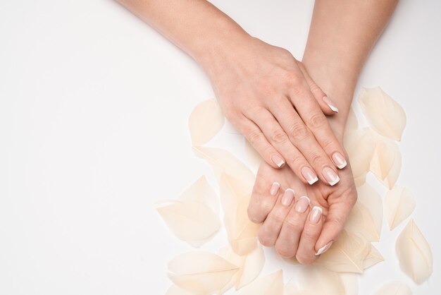 Lindas mãos femininas com manicure francesa e penas sobre superfície cinza clara