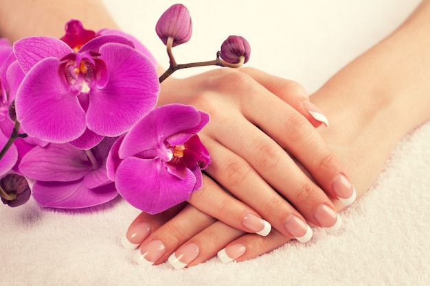 Lindas mãos femininas com manicure francesa perfeita perto de flores roxas