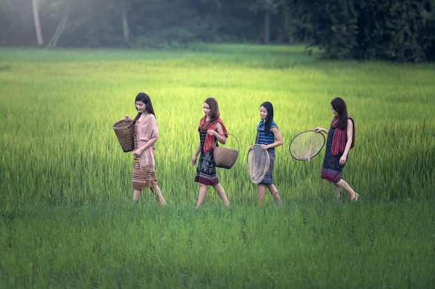 Lindas mulheres locais tailandesas feliz trabalhando ao ar livre, Tailândia