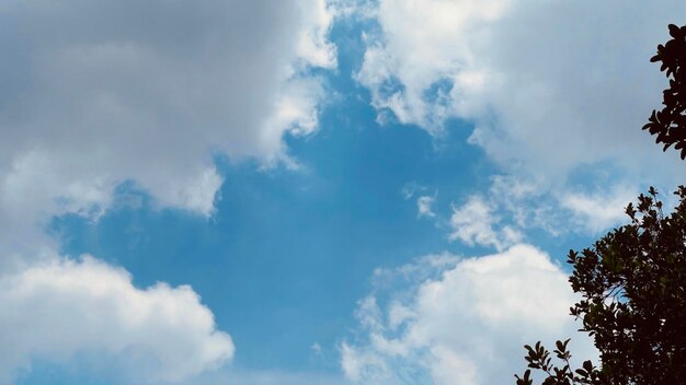 Lindas nubes esponjosas con árboles