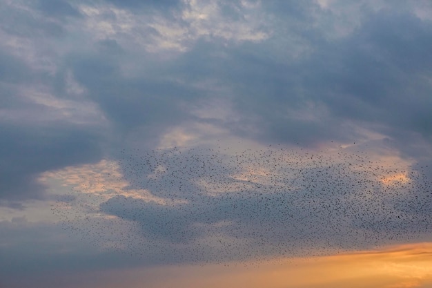 Lindas nuvens dramáticas atmosféricas à noite ao pôr do sol