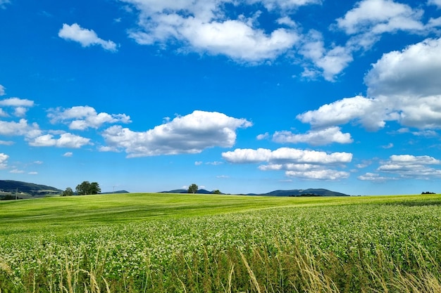 Lindas nuvens no céu azul nas montanhas e campo verde rural