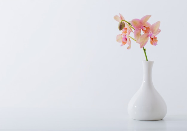 Lindas orquídeas em um vaso branco na mesa branca