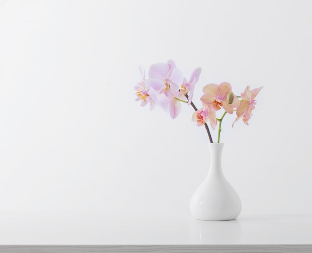 Lindas orquídeas em um vaso branco na mesa branca