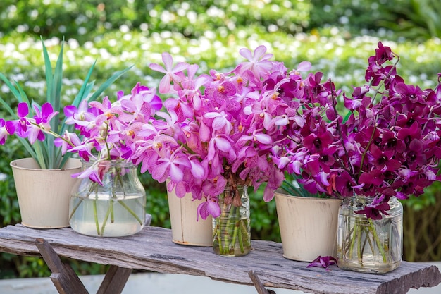 Lindas orquídeas lilás rosa em um vaso no jardim tropical, close-up, ao ar livre, conceito de natureza. Buquê de orquídeas exóticas coloridas em uma mesa de madeira, Ásia, Tailândia
