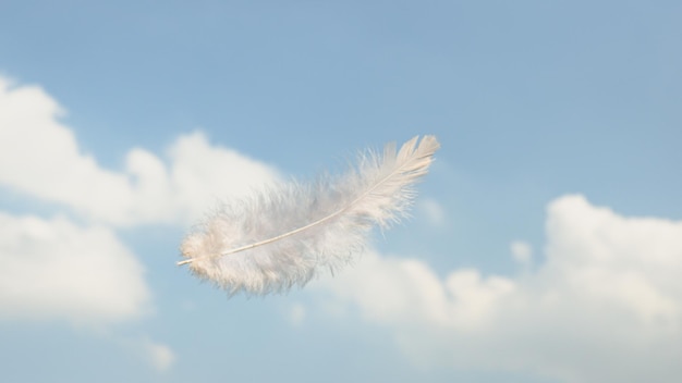 Lindas penas brancas macias e leves flutuando no céu com nuvens